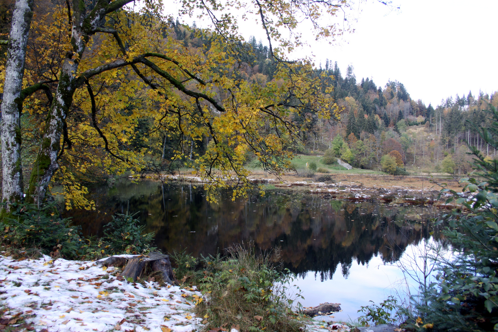 Nonnenmattweiher, Ostufer