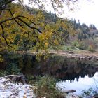 Nonnenmattweiher, Ostufer