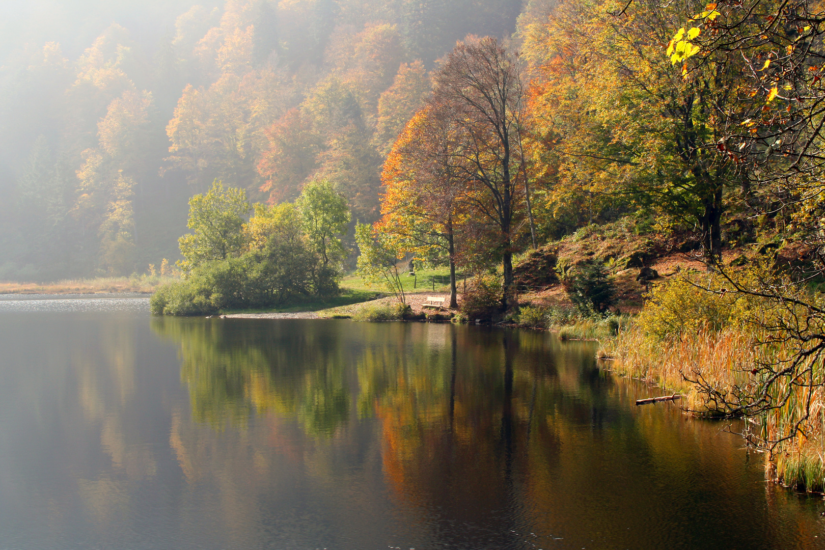 Nonnenmattweiher (Schwarzwald)