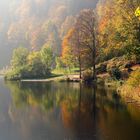 Nonnenmattweiher (Schwarzwald)