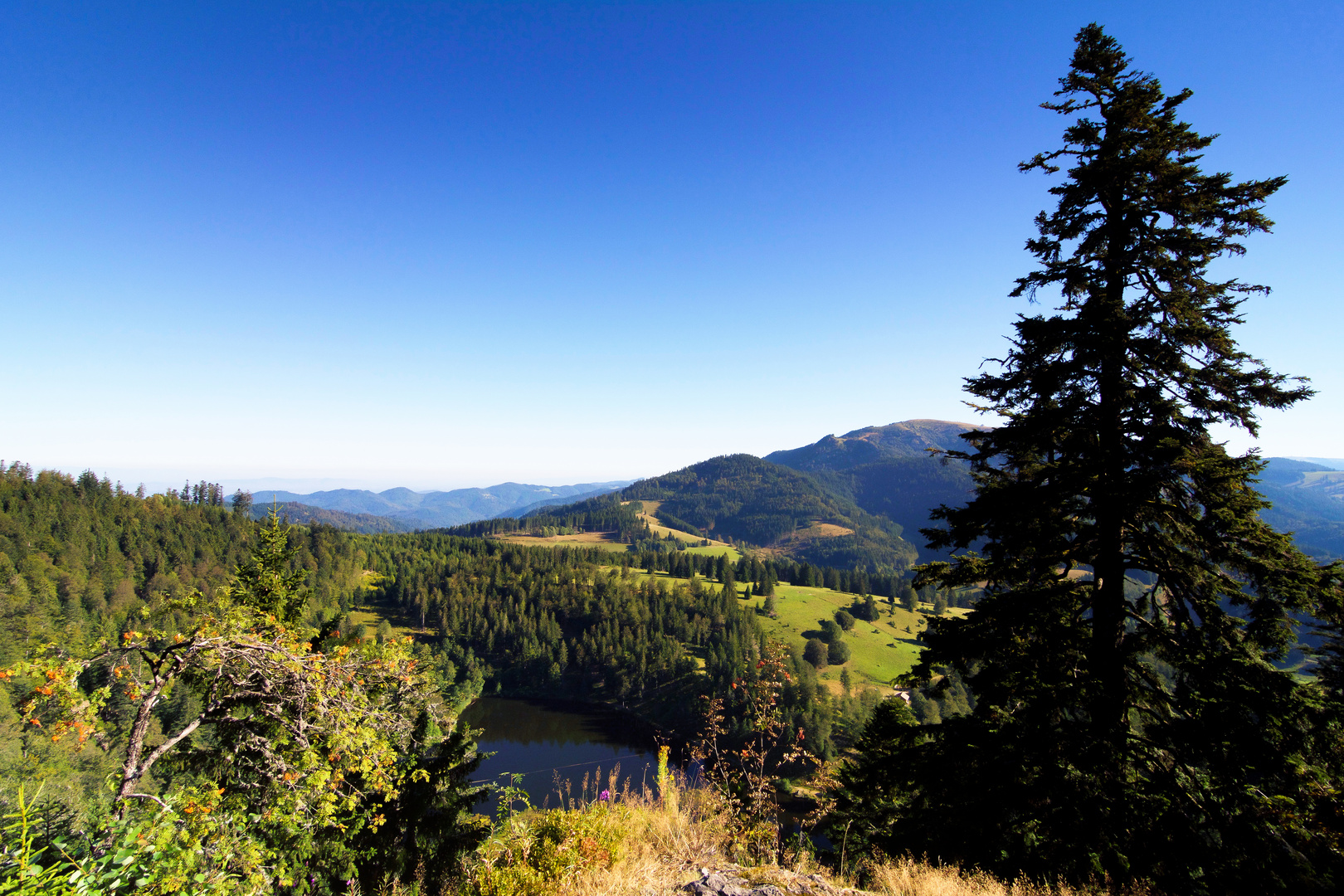 Nonnenmattweiher vom Weiherfelsen