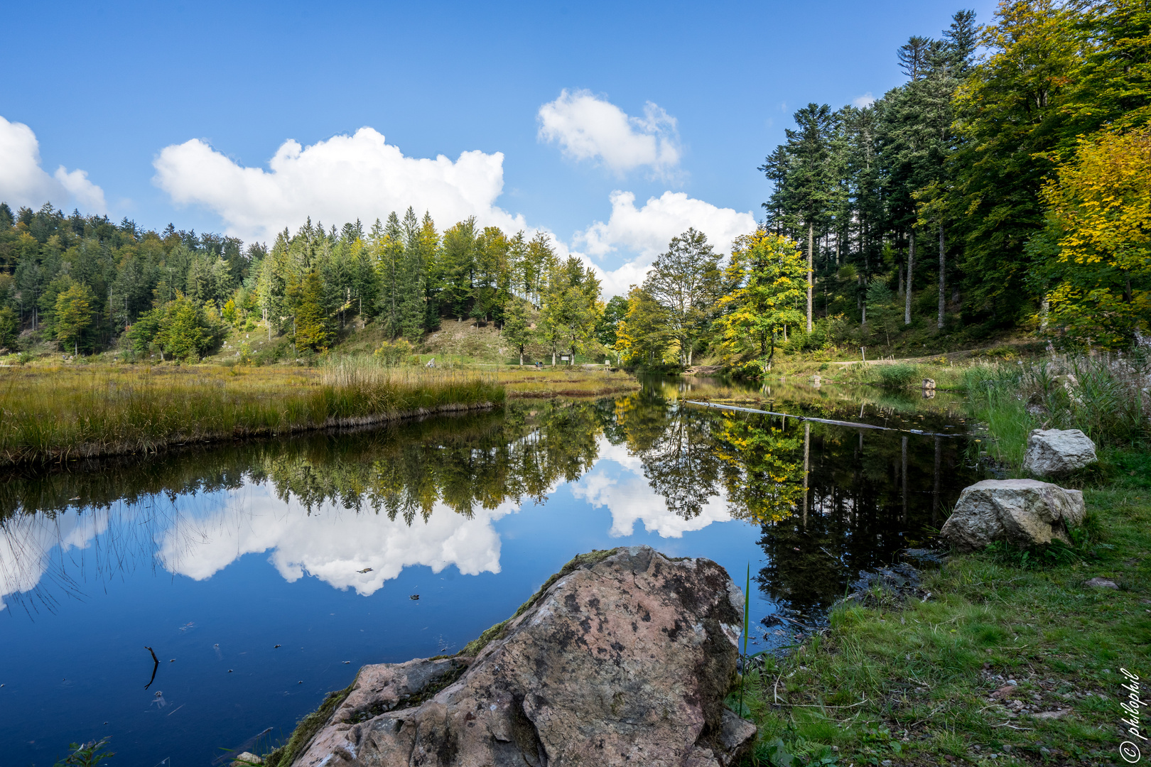 Nonnenmattweiher zum Spiegeltag