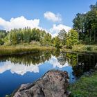 Nonnenmattweiher zum Spiegeltag