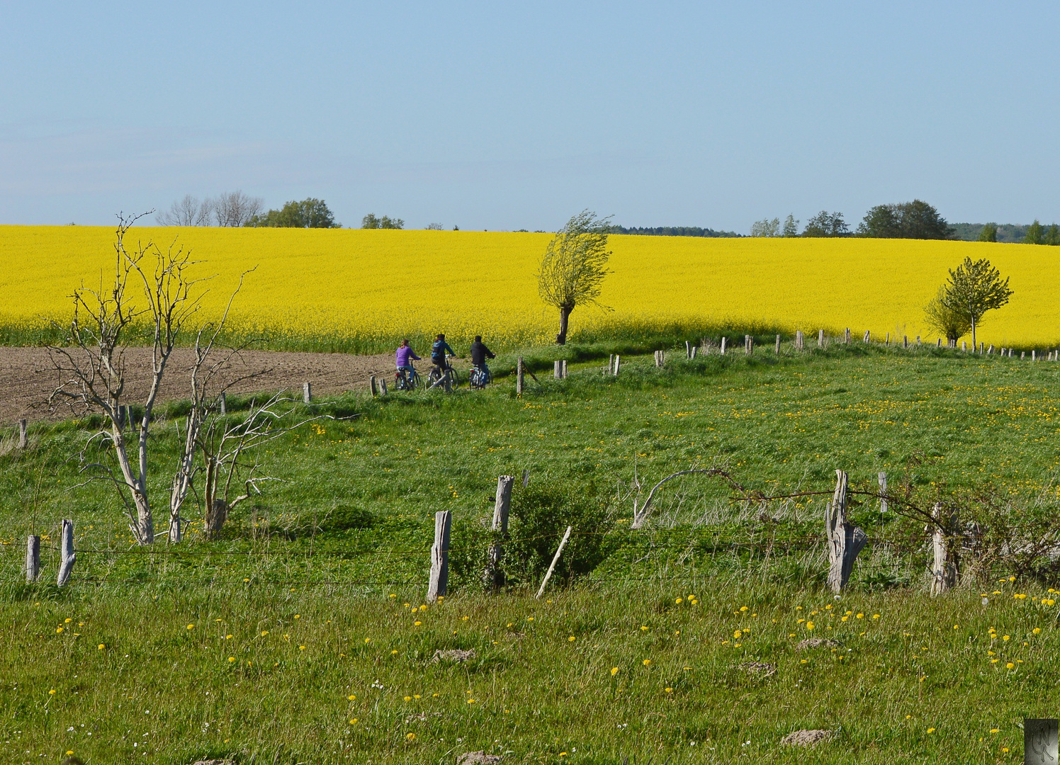 Nonnensee Radtour