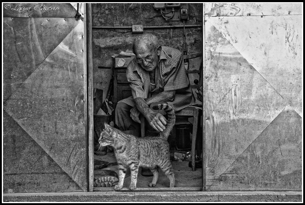 Nonno Carlo e il gatto