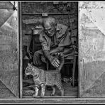 Nonno Carlo e il gatto