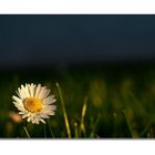 Nonostante..il temporale.