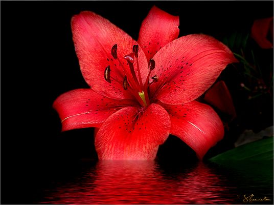 NOOO....A LA VIOLENCIA DE GENERO......