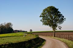 Noorbeek - Voerenstraat