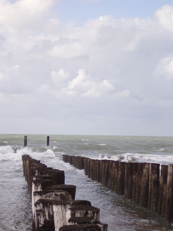 Noorduine Strand Holland 2