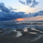 Noordwijk 24. August 2014 Möven beim Abendspaziergang