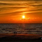 Noordwijk .....