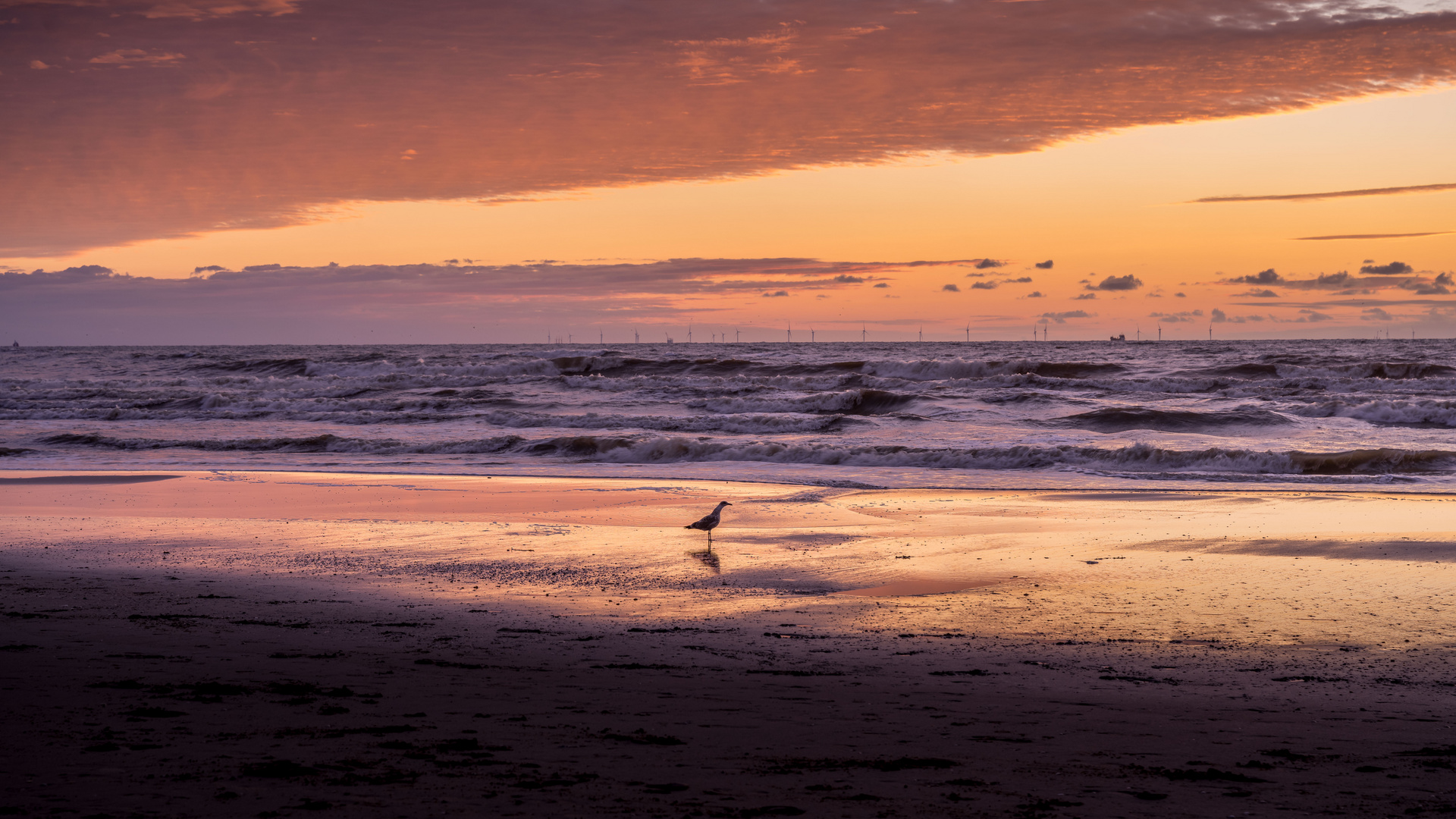 Noordwijk