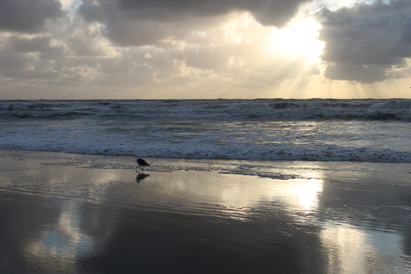 Noordwijk Strand August 2014