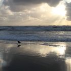 Noordwijk Strand August 2014