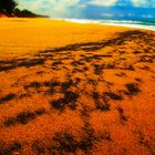 Noosa Heads