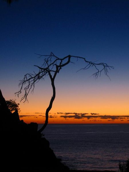 noosa heads