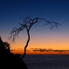 noosa heads