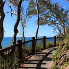 Noosa Nationalpark