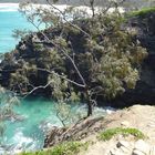 Noosa Nationalpark - Queensland Australien