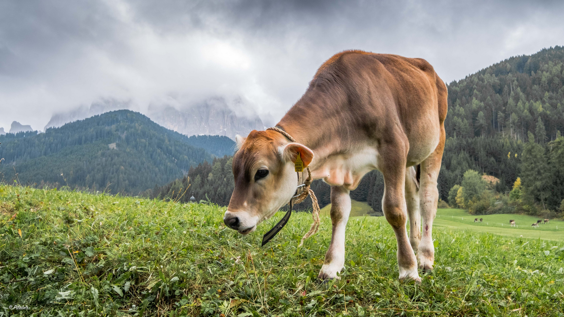 Nora Foto & Bild europe, italy, vatican city, s marino, italy Bilder