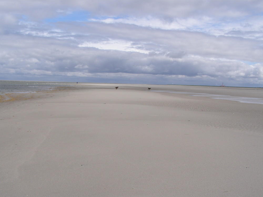 nora und vera am strand 2