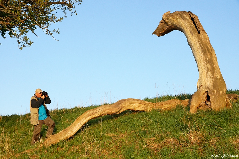 Norbert Rosing und die "Schlei-Nessie"