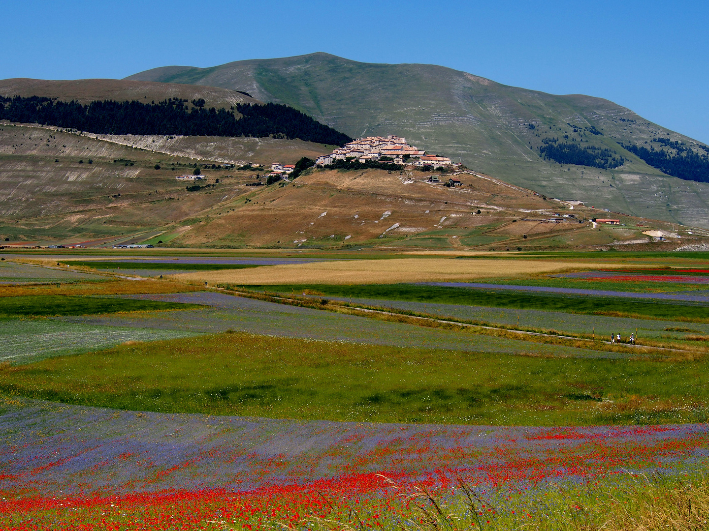 NORCIA Castelluccio