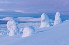 Nord Finnland im Winter Impression 1