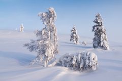 Nord Finnland im Winter Impression 13