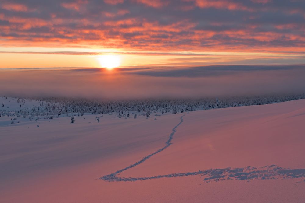 Nord Finnland im Winter Impression 15