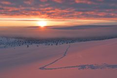 Nord Finnland im Winter Impression 15