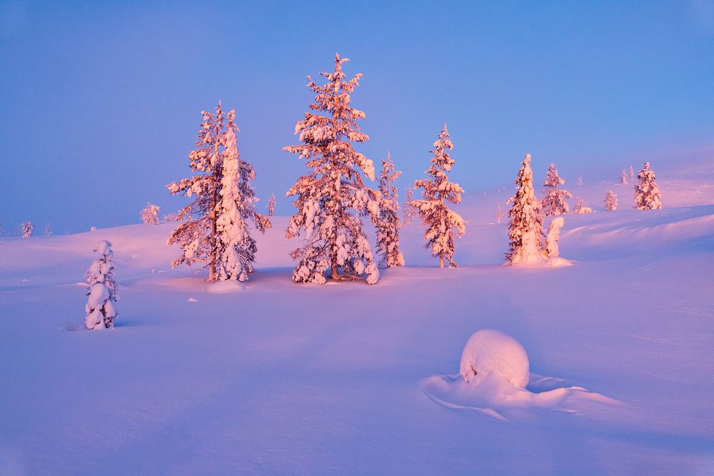 Nord Finnland im Winter Impression 18