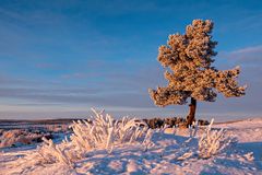 Nord Finnland im Winter Impression 2