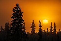 Nord Finnland im Winter Impression 21