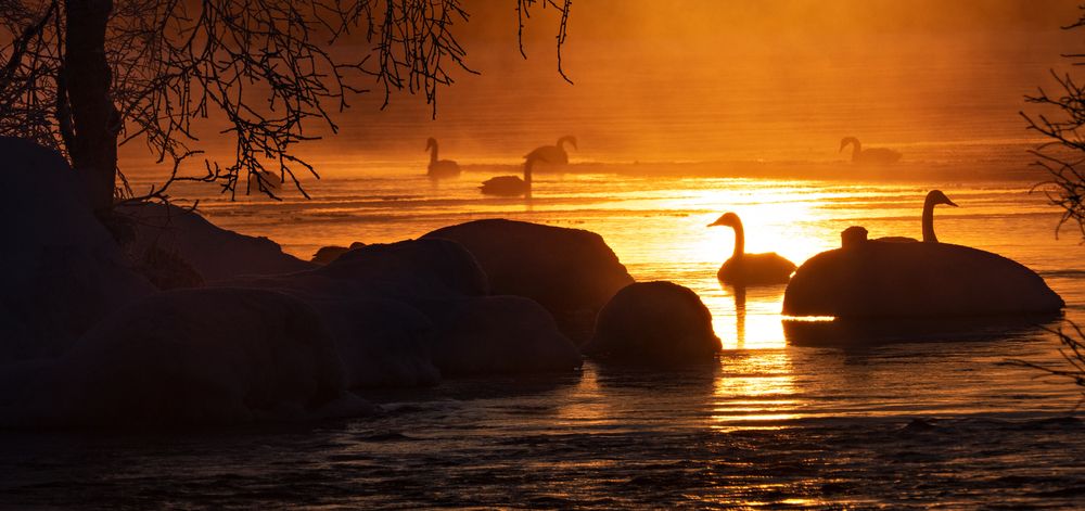 Nord Finnland im Winter Impression 22