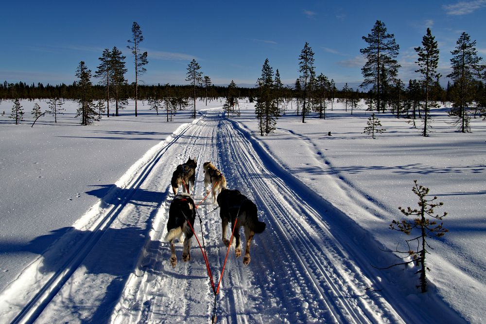 Nord Finnland im Winter Impression 26