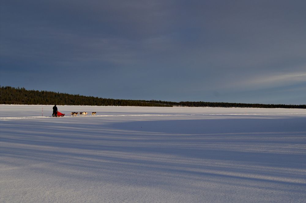 Nord Finnland im Winter Impression 27