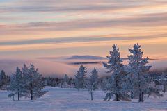 Nord Finnland im Winter Impression 29