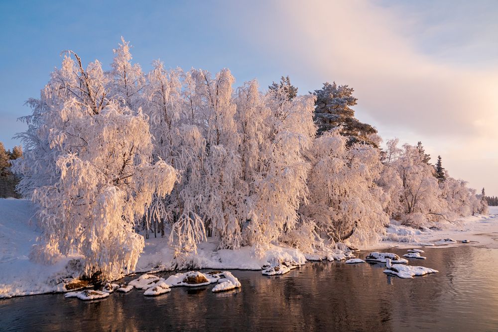 Nord Finnland im Winter Impression 3