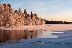 Nord Finnland im Winter Impression 30