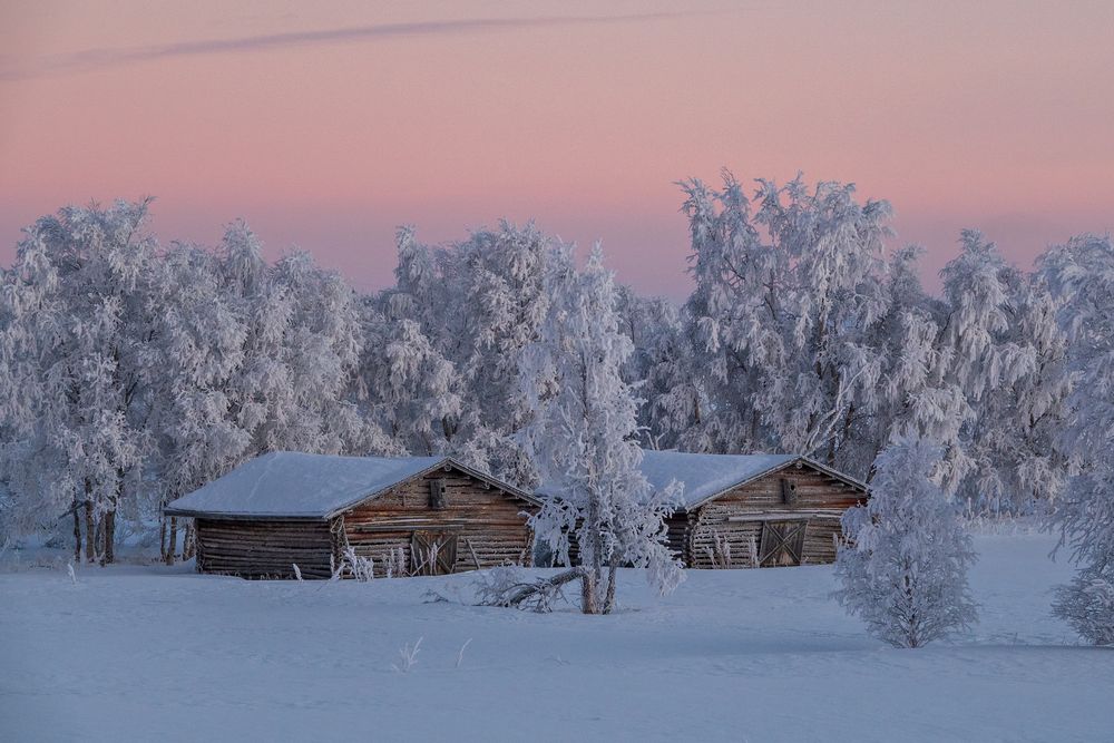 Nord Finnland im Winter Impression 4