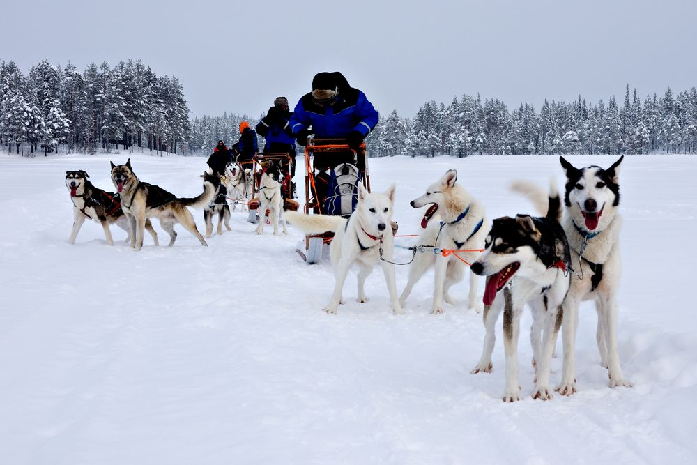 Nord Finnland im Winter Impression 48