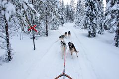 Nord Finnland im Winter Impression 49