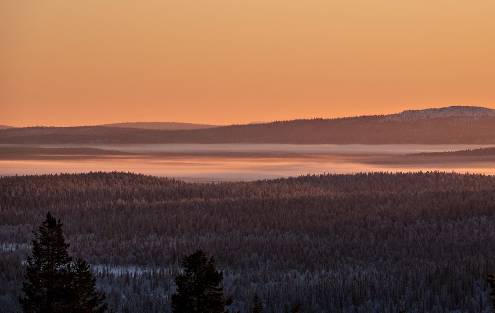 Nord Finnland im Winter Impression 5