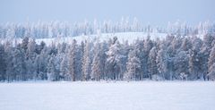 Nord Finnland im Winter Impression 7
