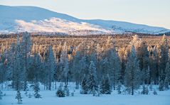 Nord Finnland im Winter Impression 8
