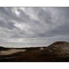 Nord Holland - Dunes