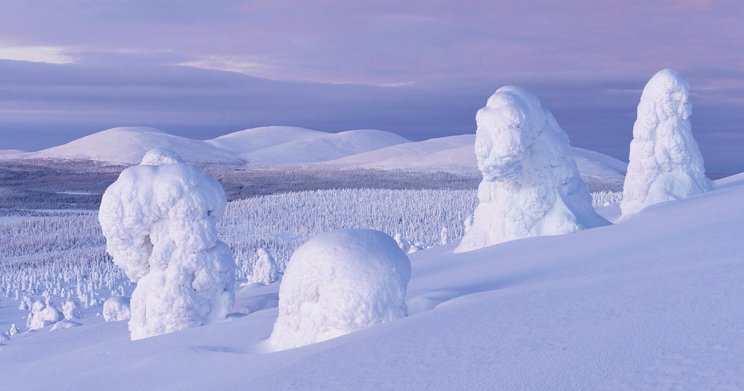 Nord Lappland im Winter 2016-1