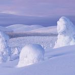 Nord Lappland im Winter 2016-1